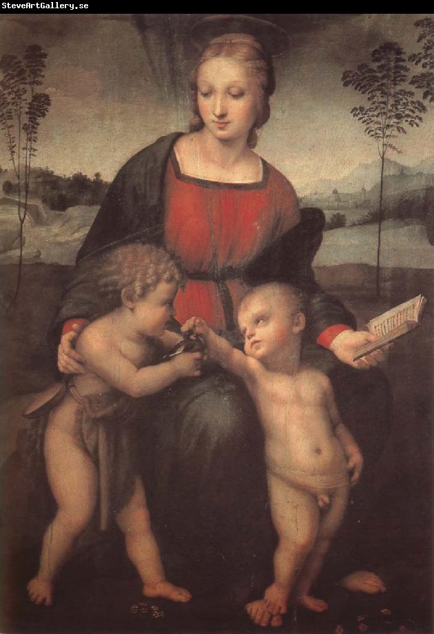 RAFFAELLO Sanzio The virgin mary  and John